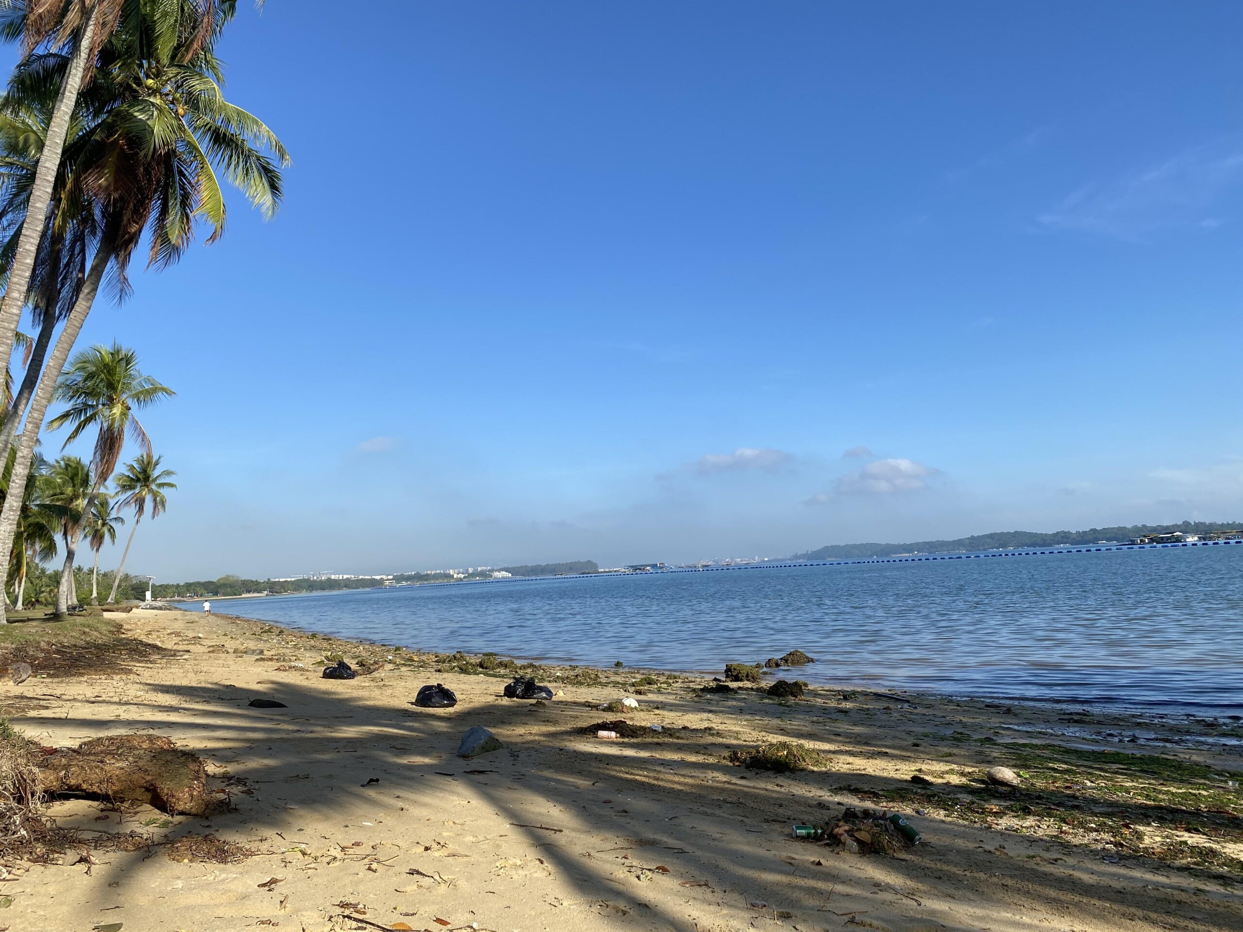 https://www.google.com/url?sa=i&url=https%3A%2F%2Fwww.reddit.com%2Fr%2Fsingapore%2Fcomments%2Fm071la%2Fpasir_ris_beach_this_morning_uncle_thanks_for%2F&psig=AOvVaw3VqPHGs_KFvJJlR57BAaLx&ust=1758097760586000&source=images&cd=vfe&opi=89978449&ved=0CBUQjRxqFwoTCLiH5N3u3I8DFQAAAAAdAAAAABAE